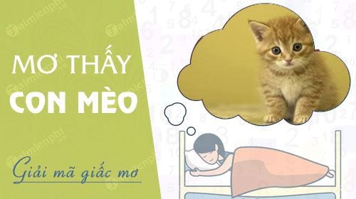 Nằm mơ thấy mèo hên hay xui? Tổng hợp những con số liên quan đến mèo