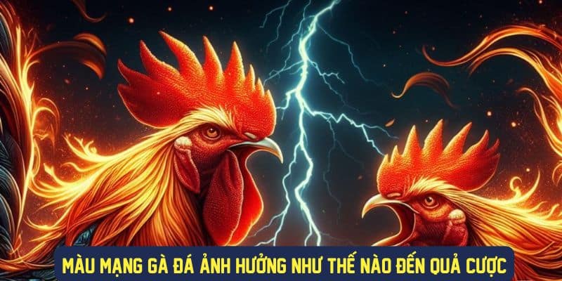 Tìm hiểu khái niệm màu mạng gà đá hôm nay là gì