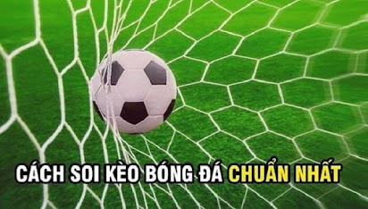 Top 4 Cách Soi Kèo Bóng Đá Chuẩn Xác Nhất Dành Cho Tân Thủ